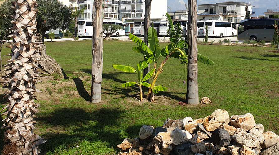 nimble_asset_foto_parcheggio_pomeizone_a_pompei_slide_1